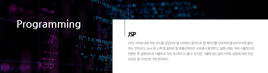 JSP